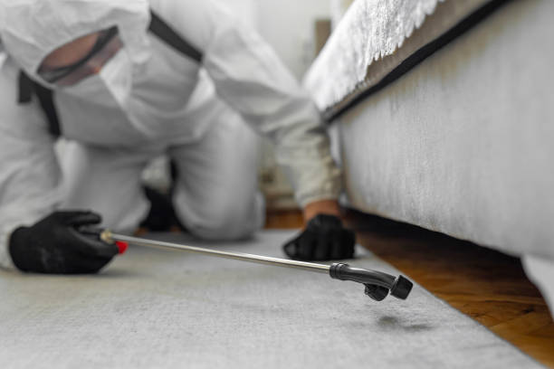 Professional Termite Control technician working in Portageville, MO