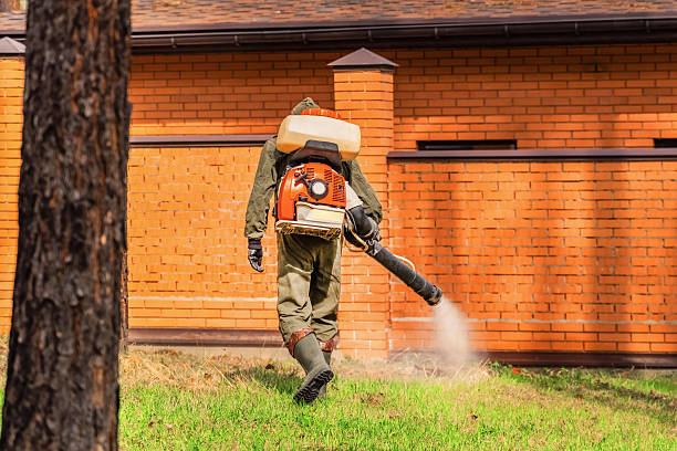 Trusted Rodent Control service in Portageville, MO - Nex Pest Control